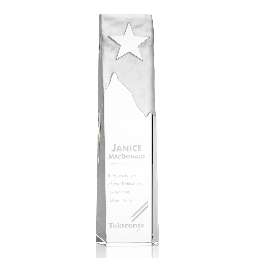 Stapleton Star Award 4