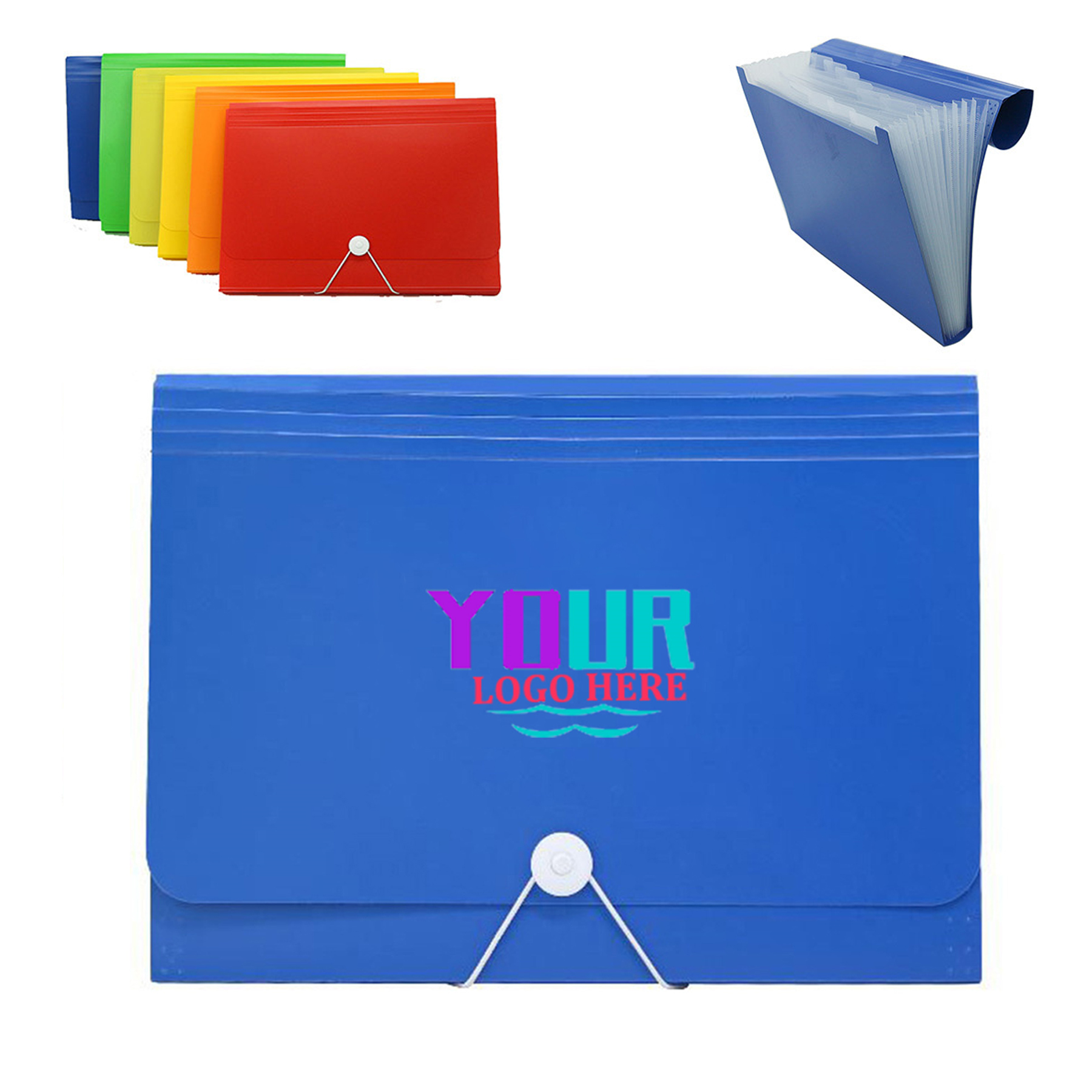 Accordian Organizer File Folder 2