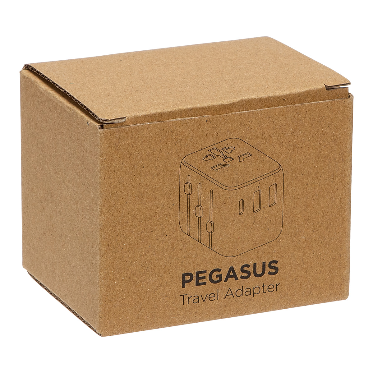 Pegasus Travel Adapter 1