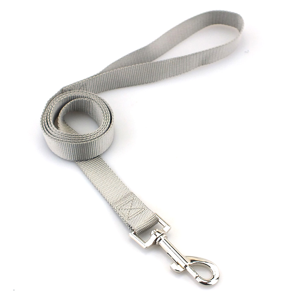 Pet Leash 6