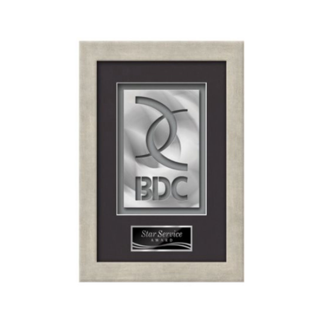Eldridge Aquashape™ Award - Antique Silver 4