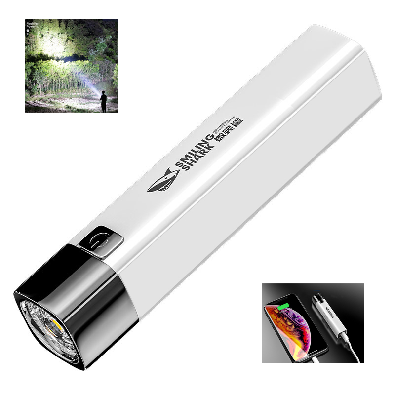 Flashlight Power Bank 2