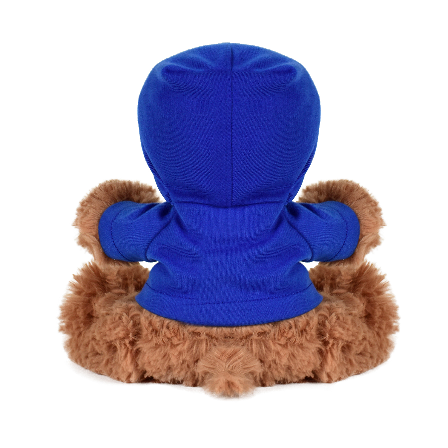 Plush Bear w/ Embroidered Paws and Hoodie 24