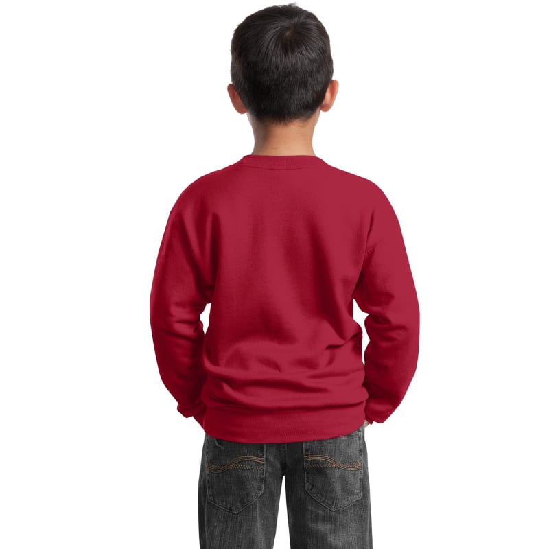 Port & Company Youth Core Fleece Crewneck Sweatshirt. 22