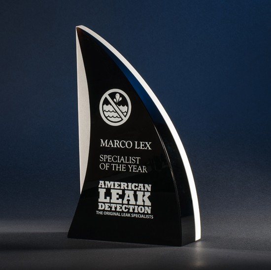 Contemporary Vistas Crystal Shark'sFin Award 2