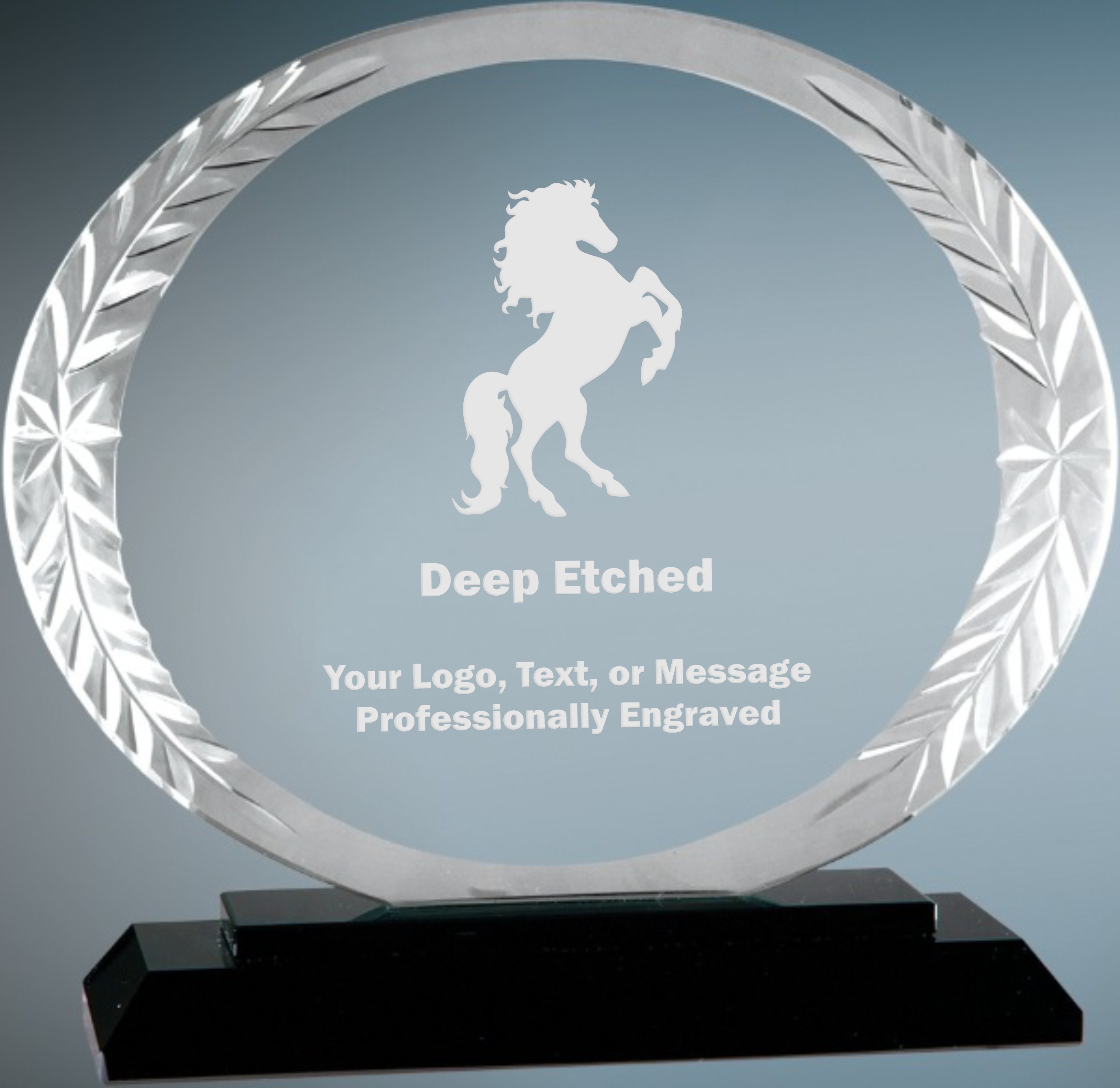 5 3/4" Medium Oval Accent Glass Award