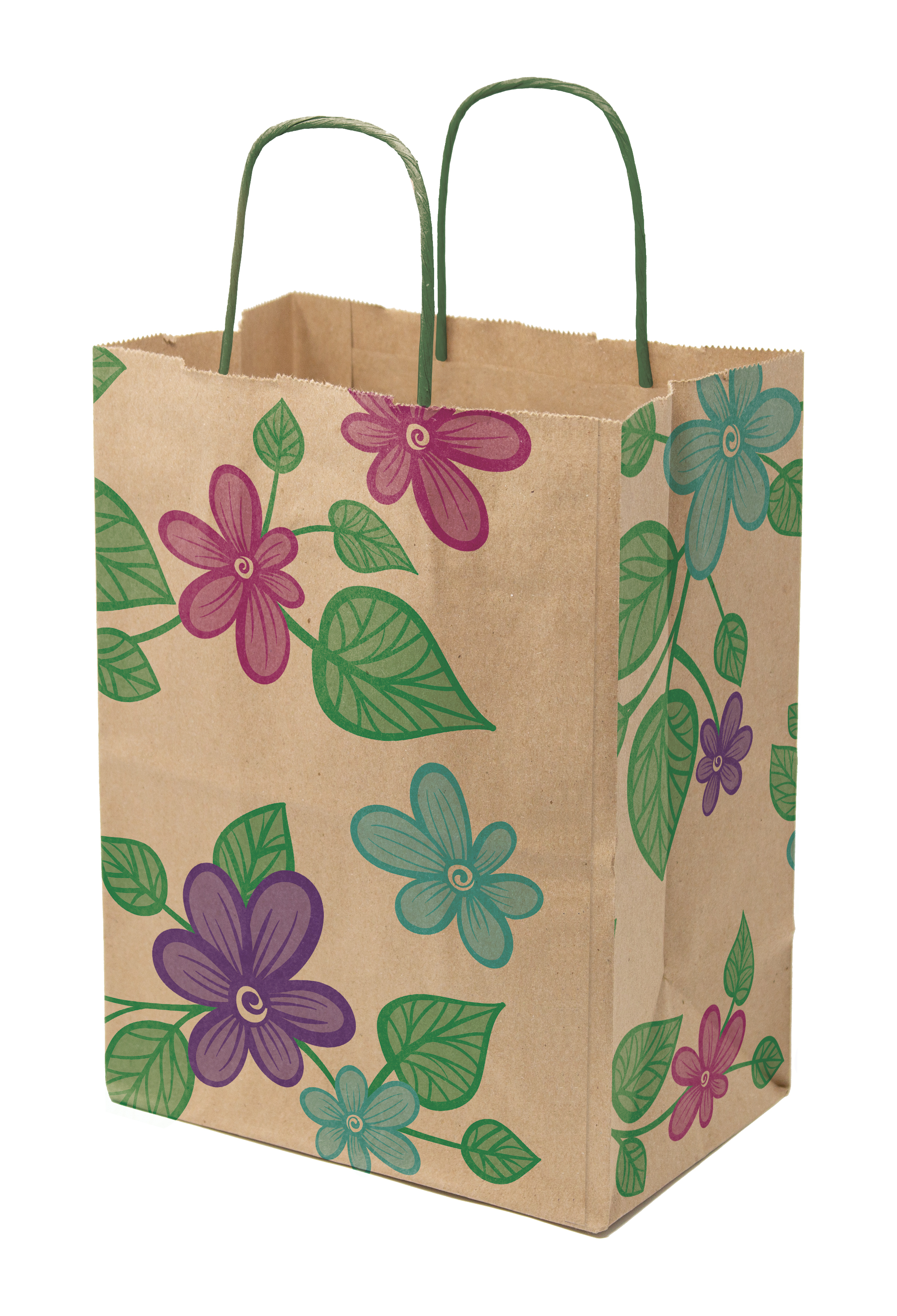 Multi-Sided Full Color Natural Shopper Paper Bag - Green Handle (8.25 x 10.25 x 5) 2