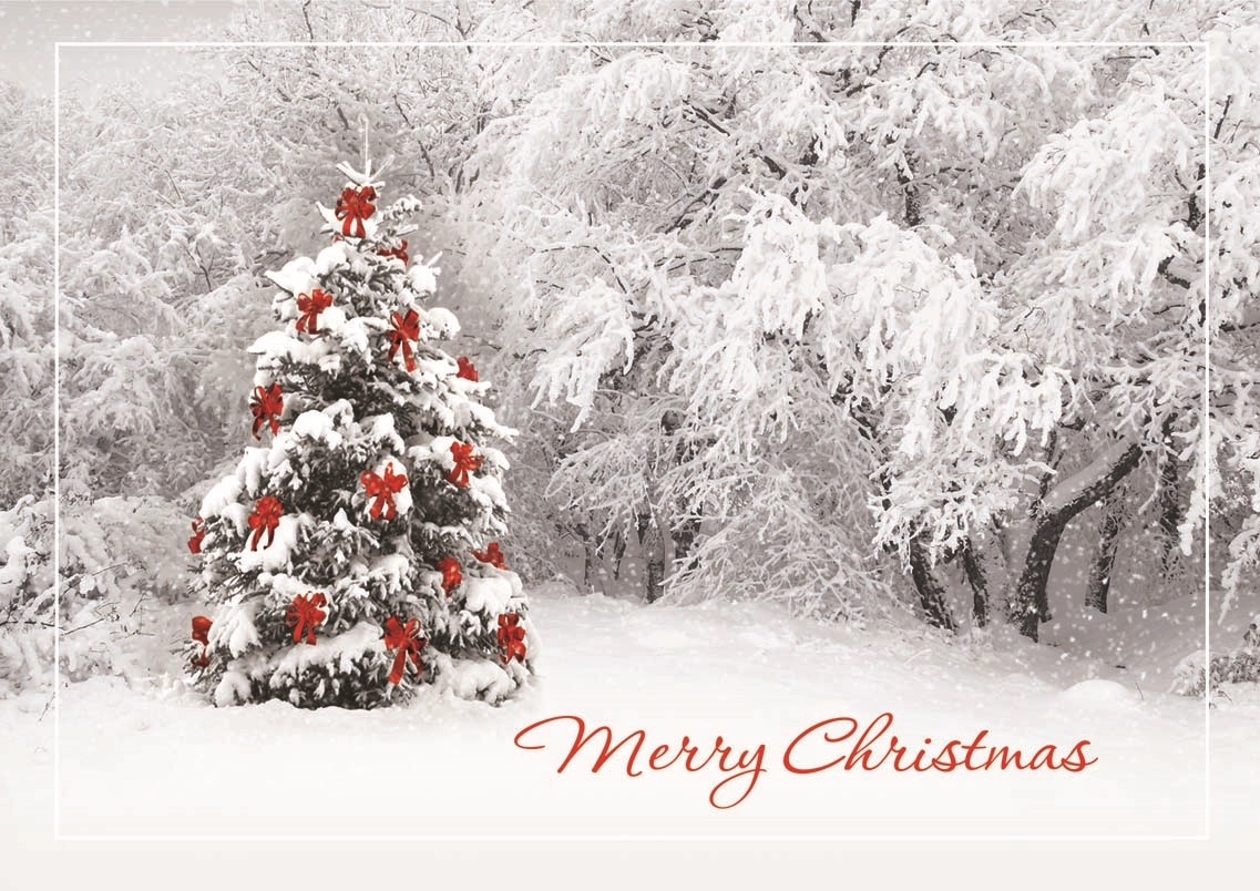 Secret Sighting Holiday Greeting Cards 1