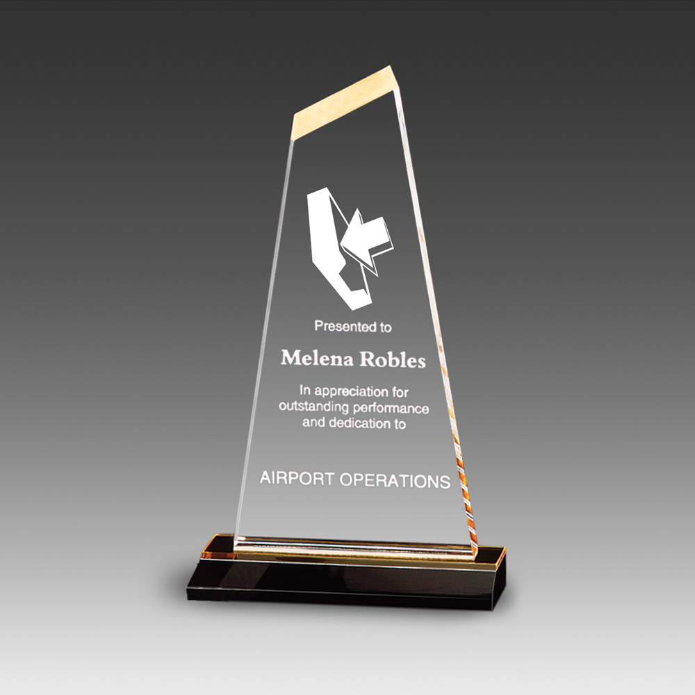 Reflections Optima Award (5"x9") 1