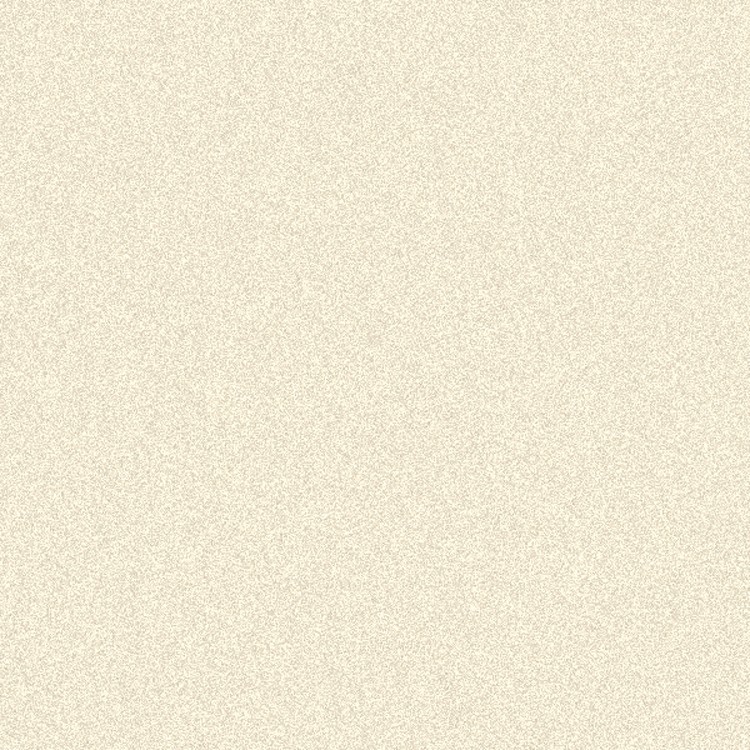 24-hr Quick Ship Plain Economy Folders 39