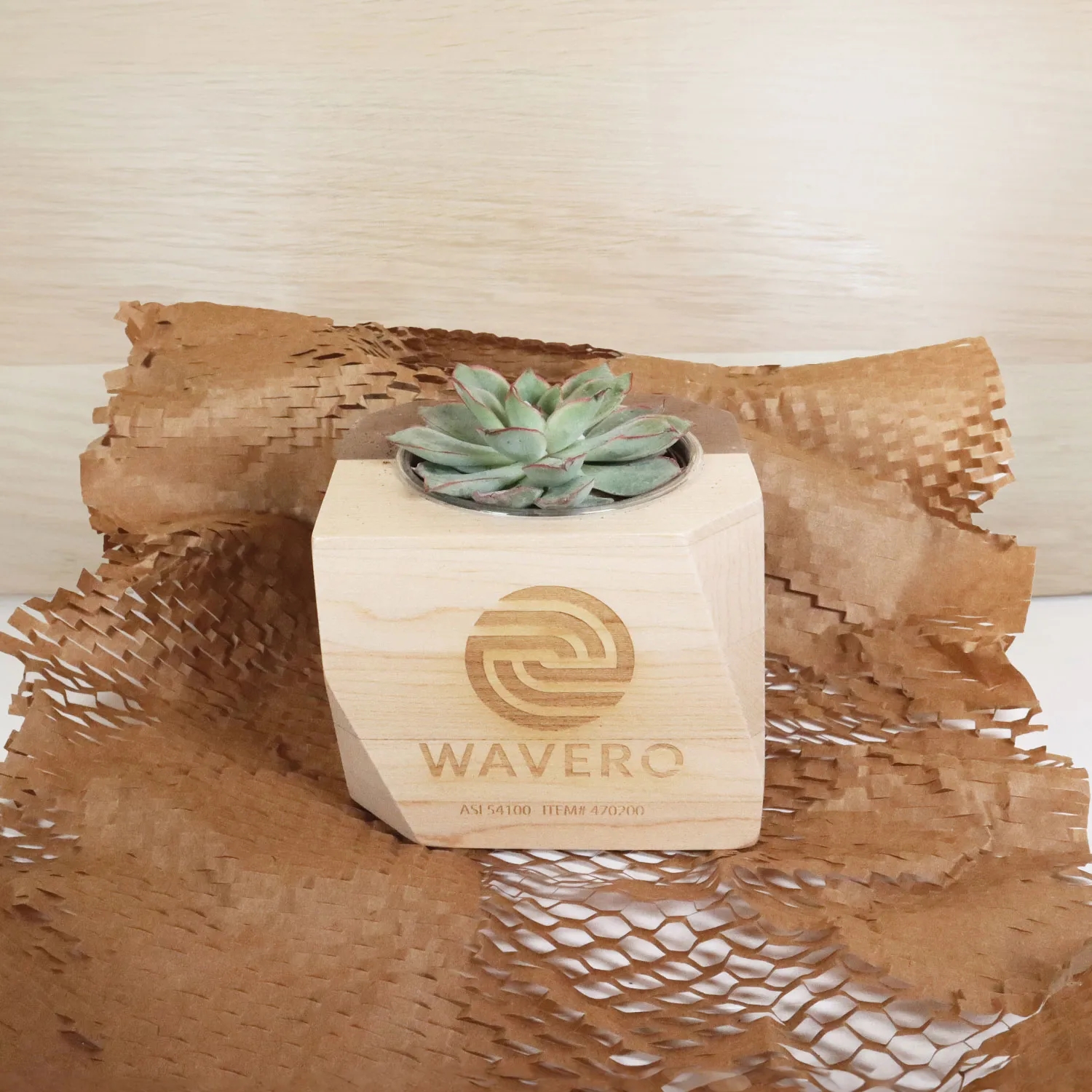 Geometric Wooden Planter with Succulent 4