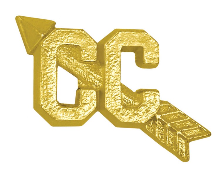 Cross Country Bright Gold Chenille Lapel Pin
