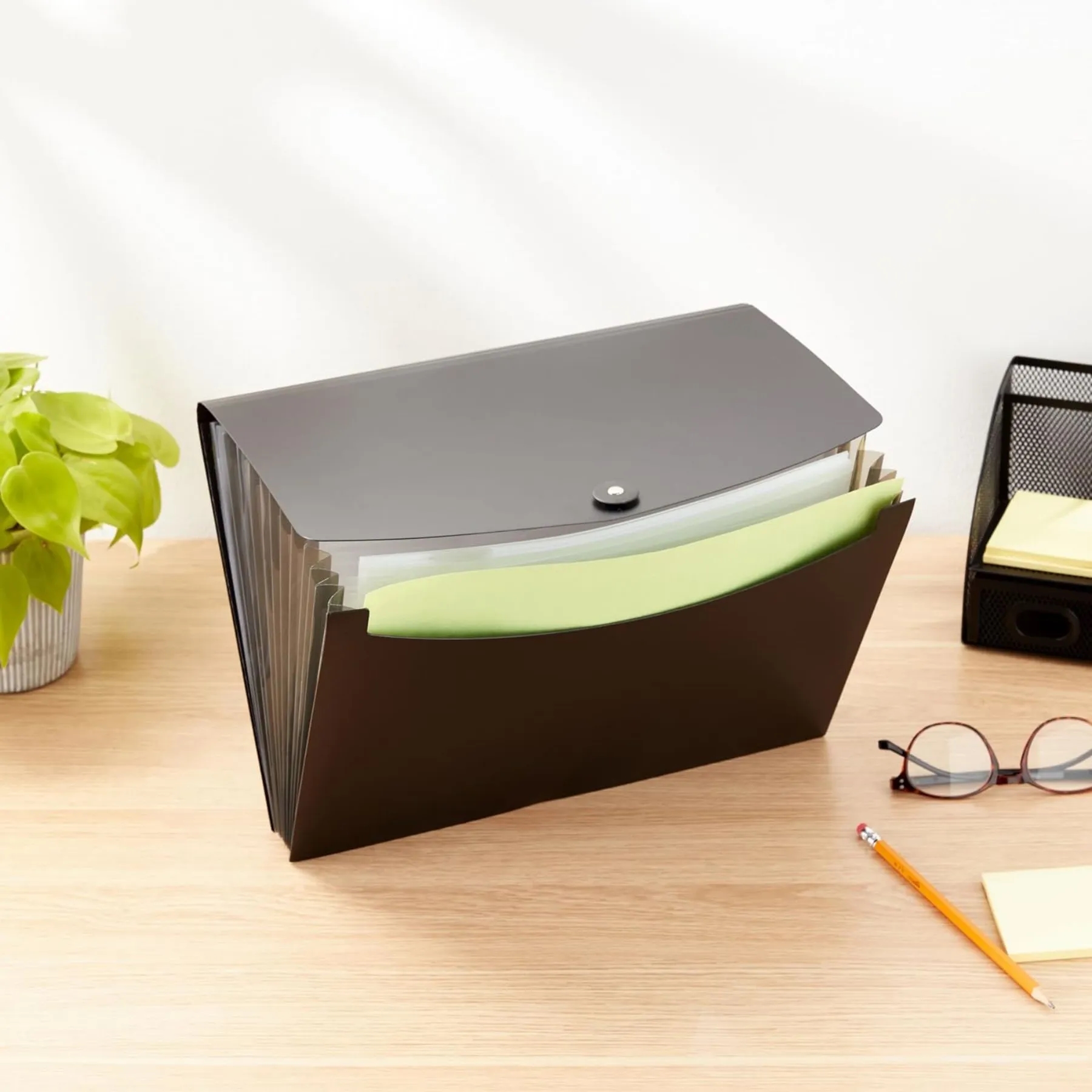 Basics Expanding Organizer File Folder 8