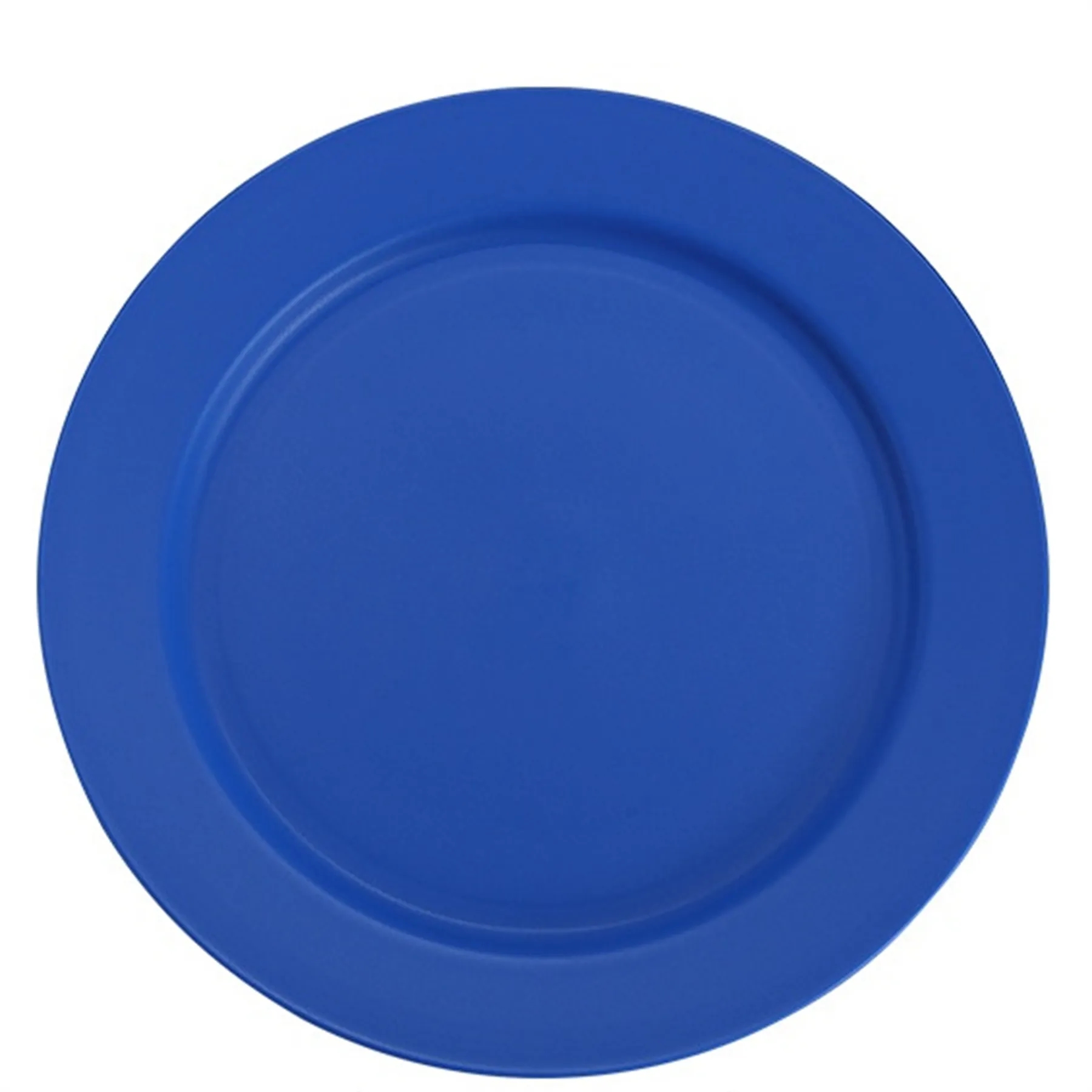 Plastic Plate 9.8 Inch 13