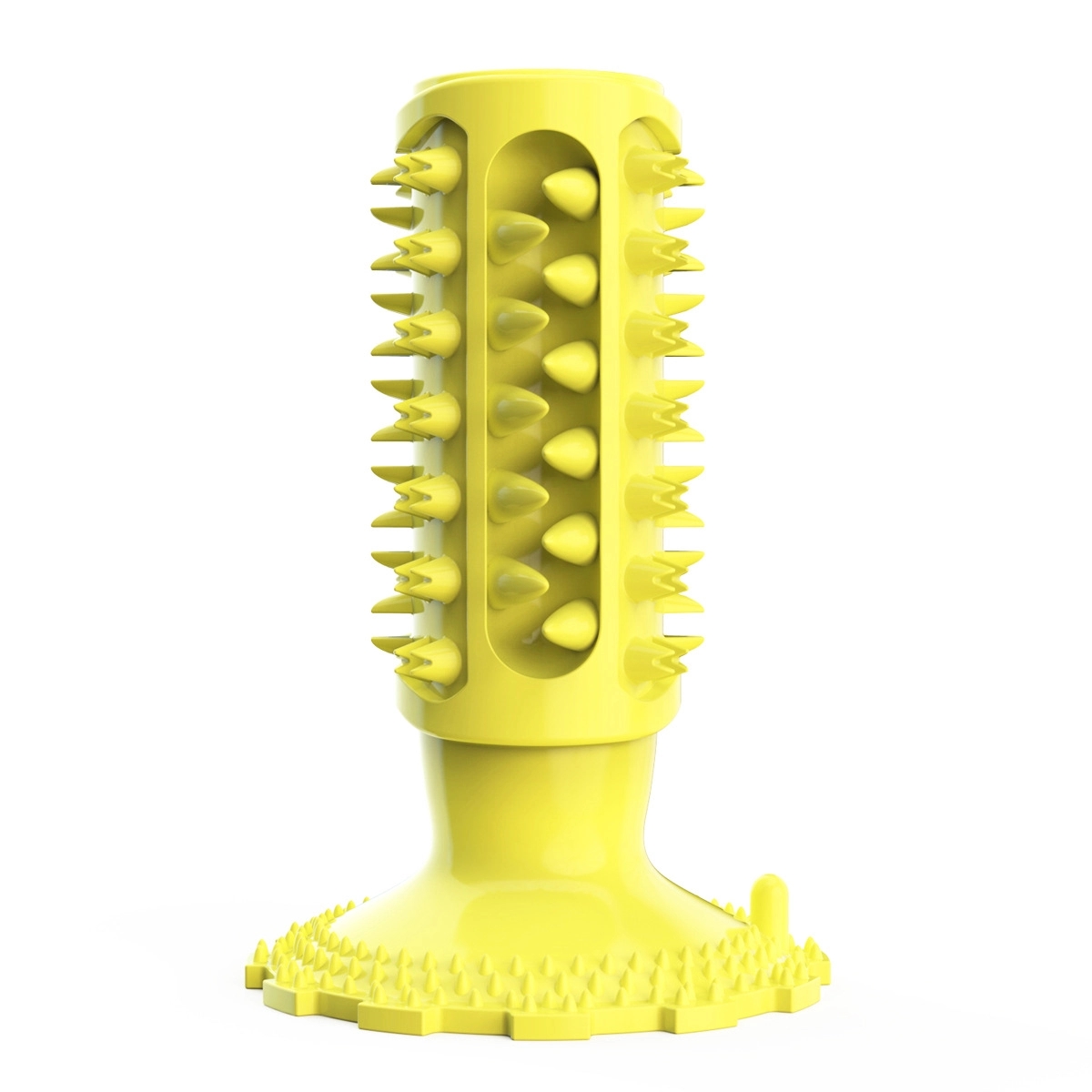Dog Bites Chew Toy & Toothbrush 4