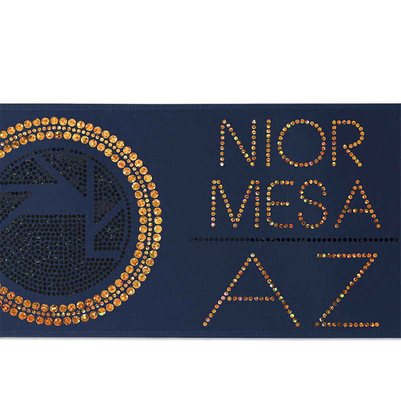 5" Badge Satin Ribbon - 100yd Roll - Sparkle