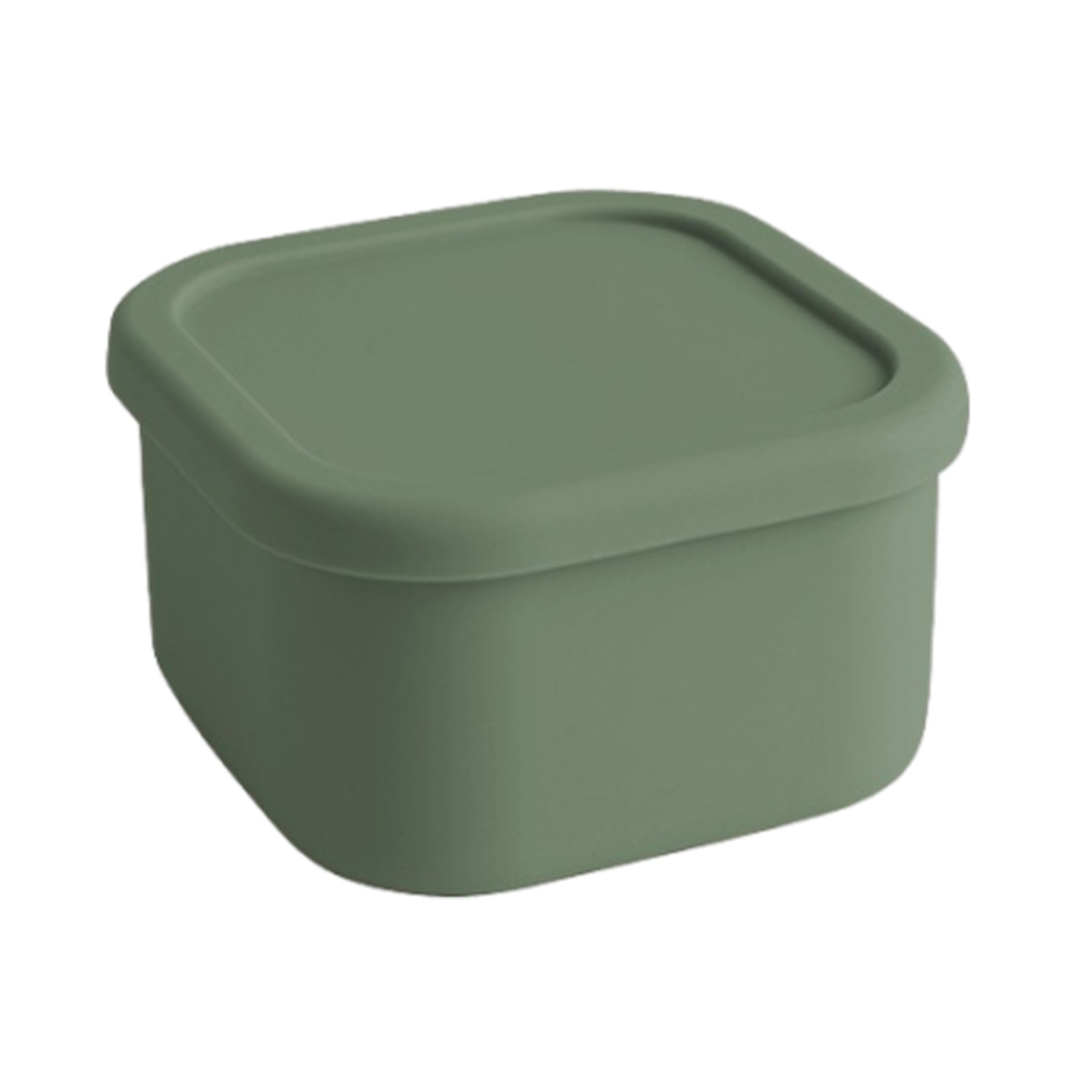 Kitchen Bento Box 4