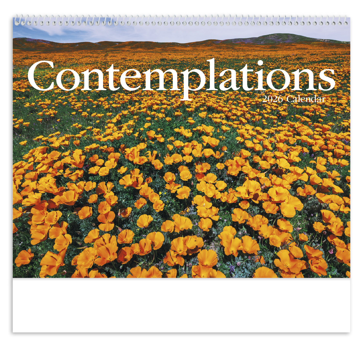HotLine® Products Contemplations Appointment Calendar - Spiral 24