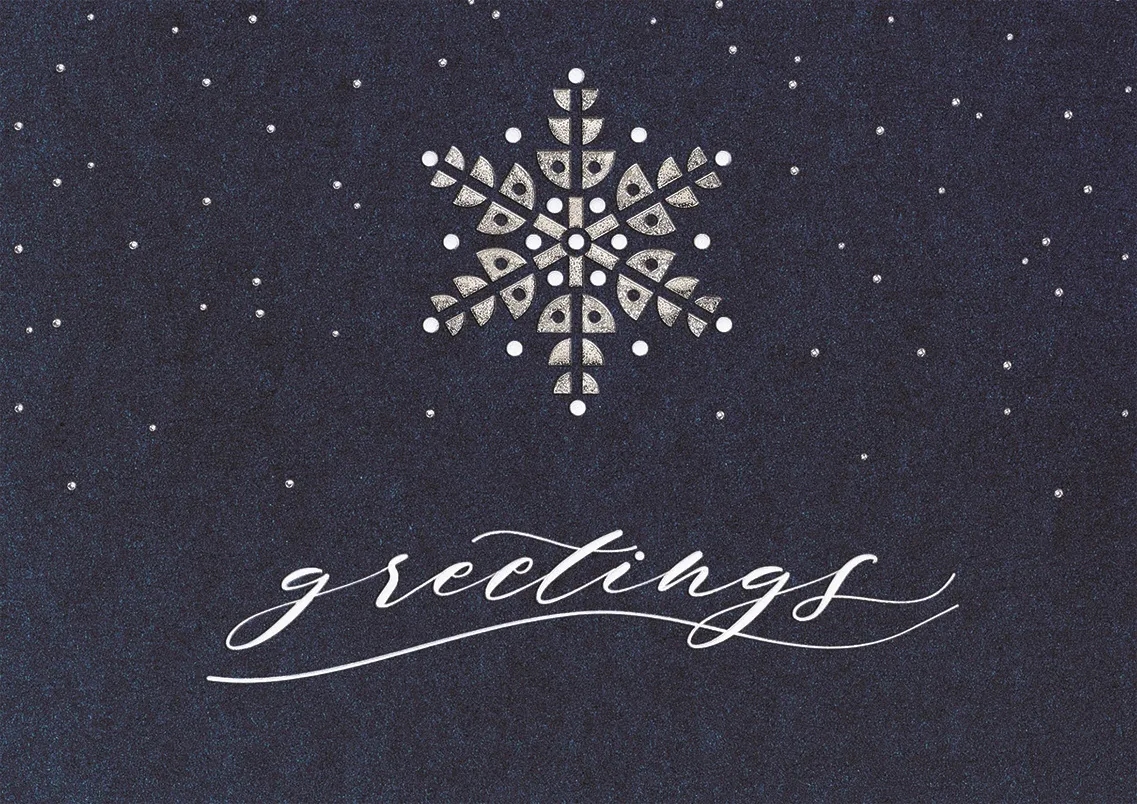Starry Indigo Holiday Cards 1