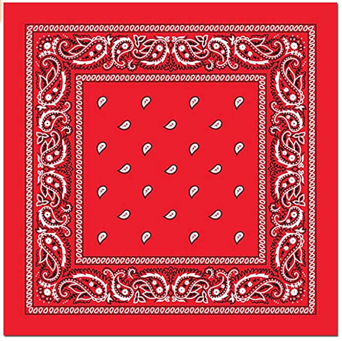 100% Cotton Bandanas Paisley Print 4
