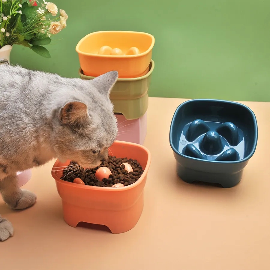 Square Pet Feeding Bowl 6
