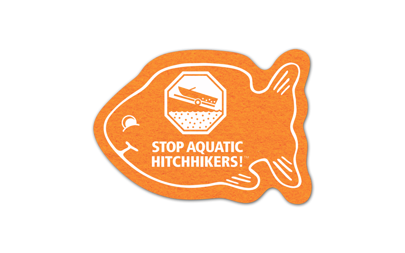 Fish Shammy Coaster