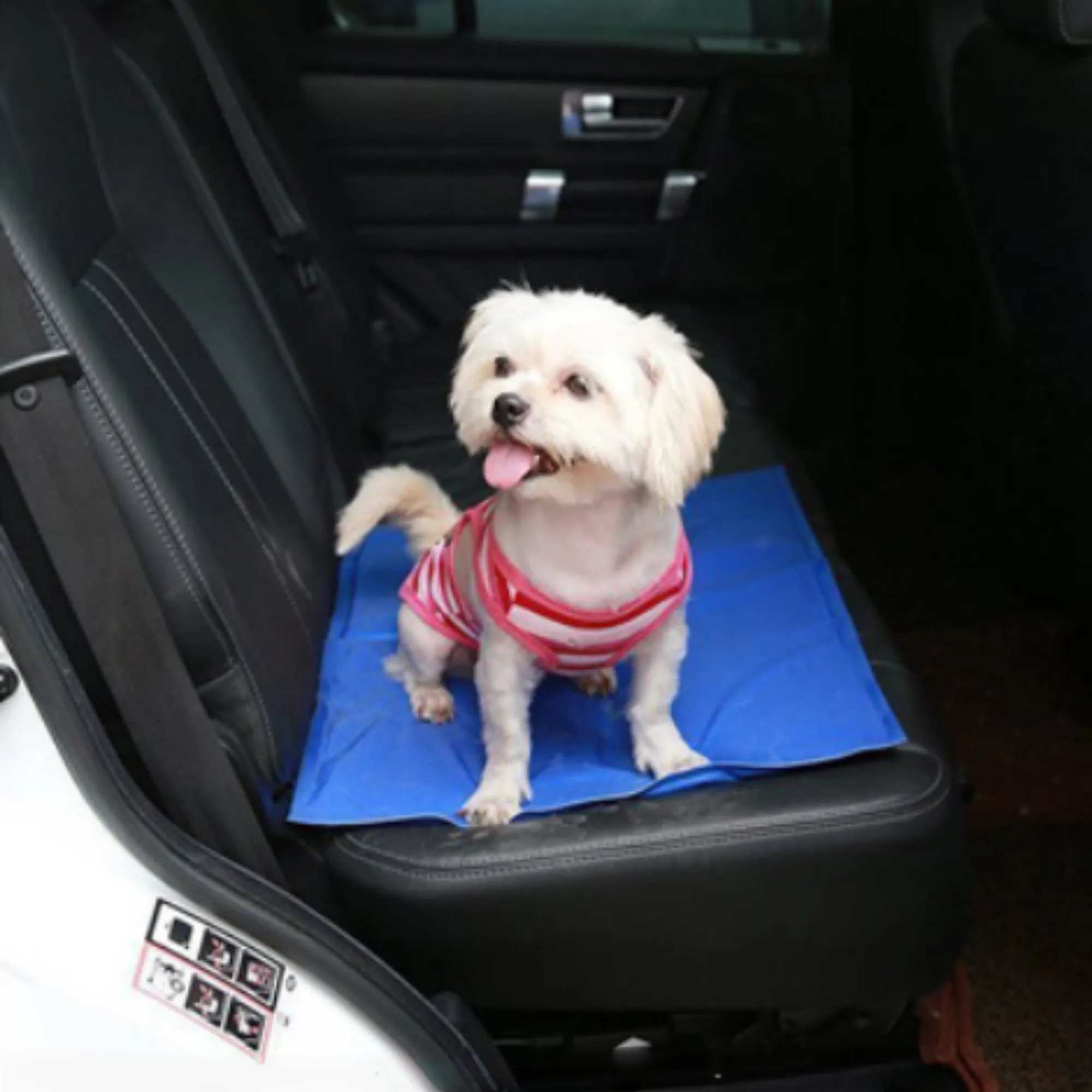 Pet ice mats 3