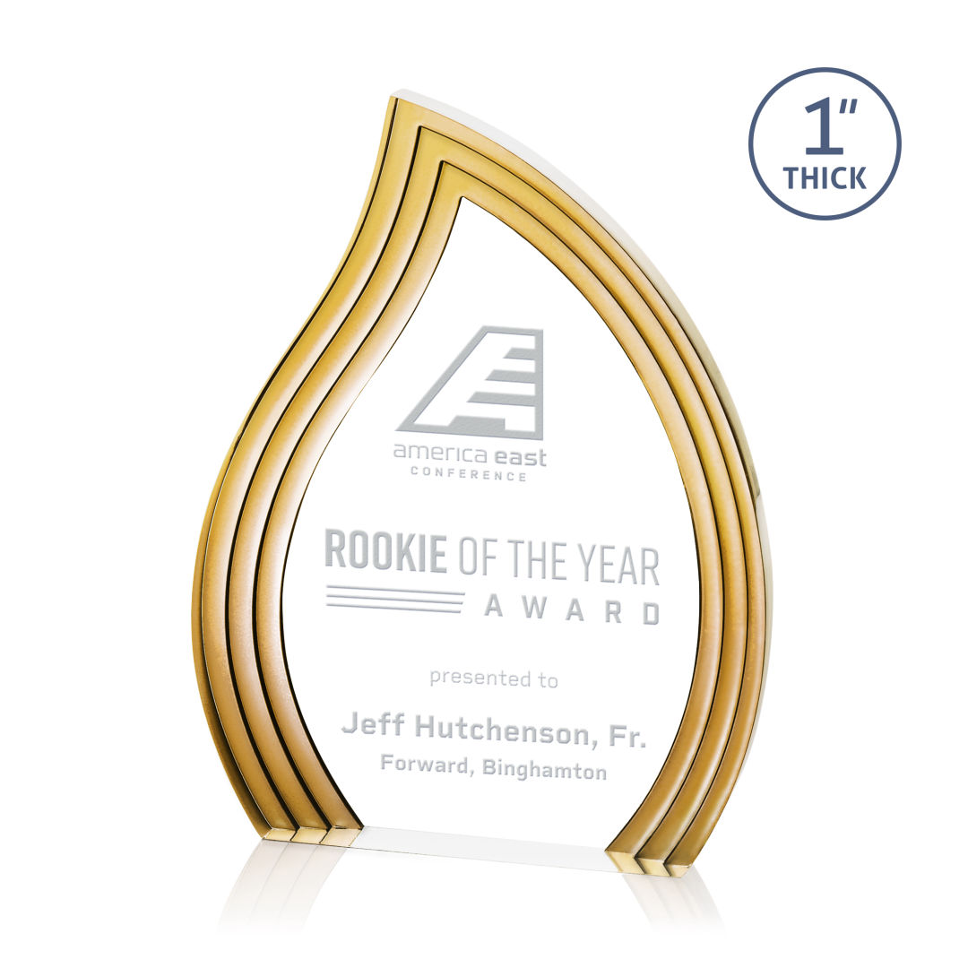 Tidworth Blaze Award - Gold 15