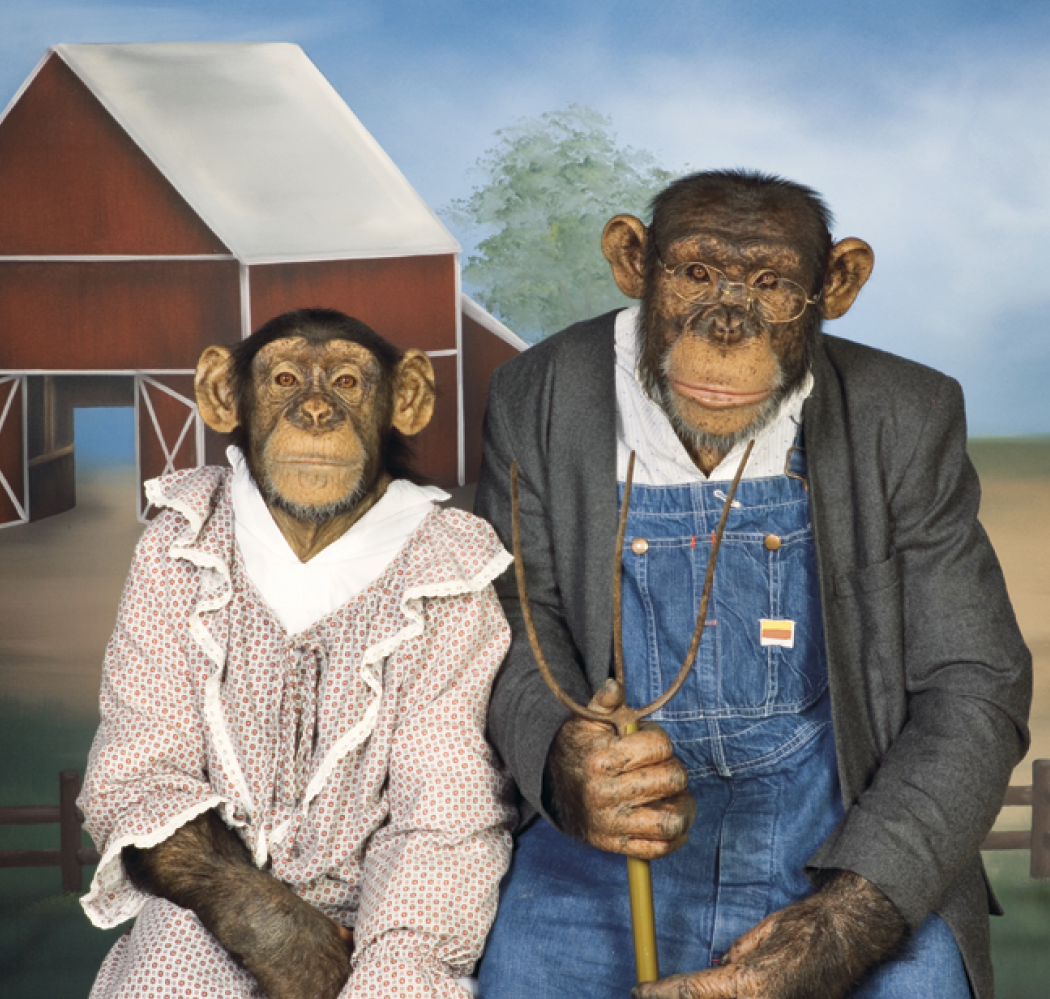 Triumph® Calendars Monkey Business Calendar 27