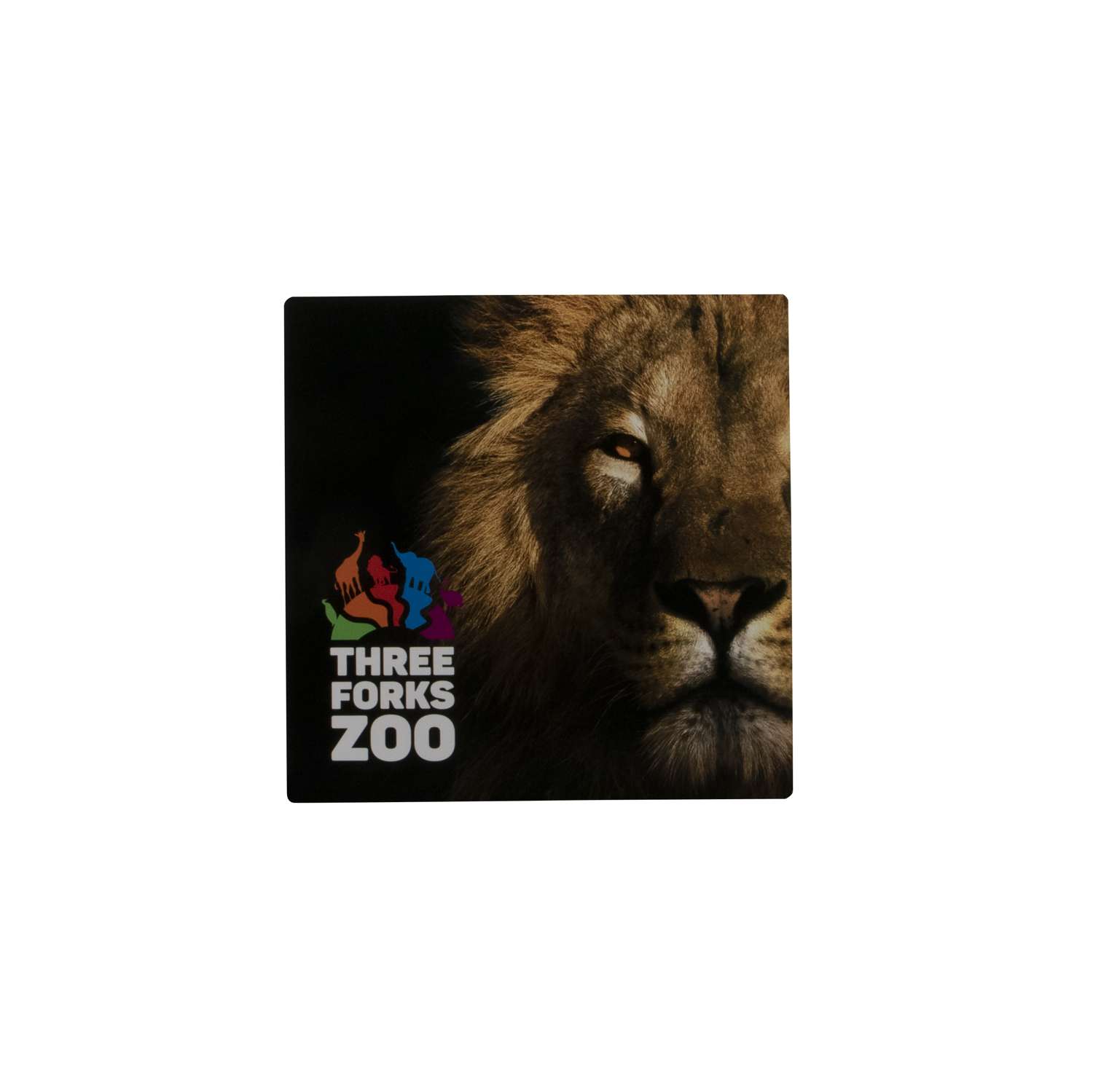 8"W X 8"H Glossy Aluminum Print 2