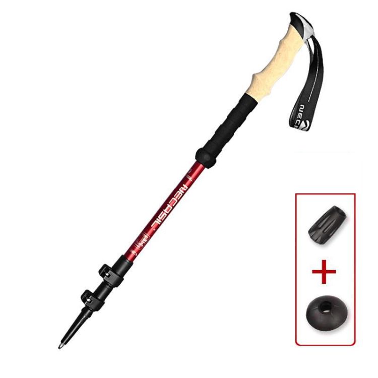 Trekking Pole 2