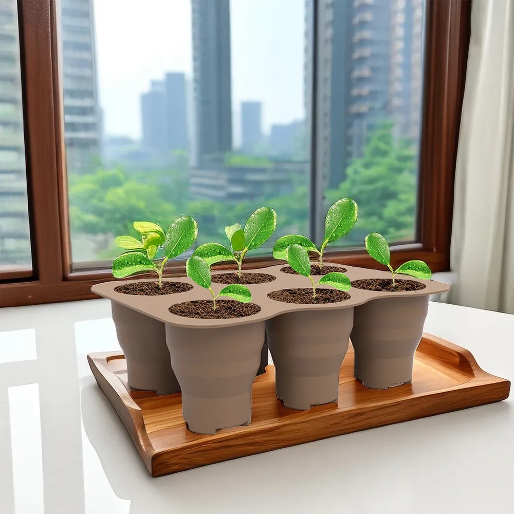 Silicone 6-Grid Seedling Box 3