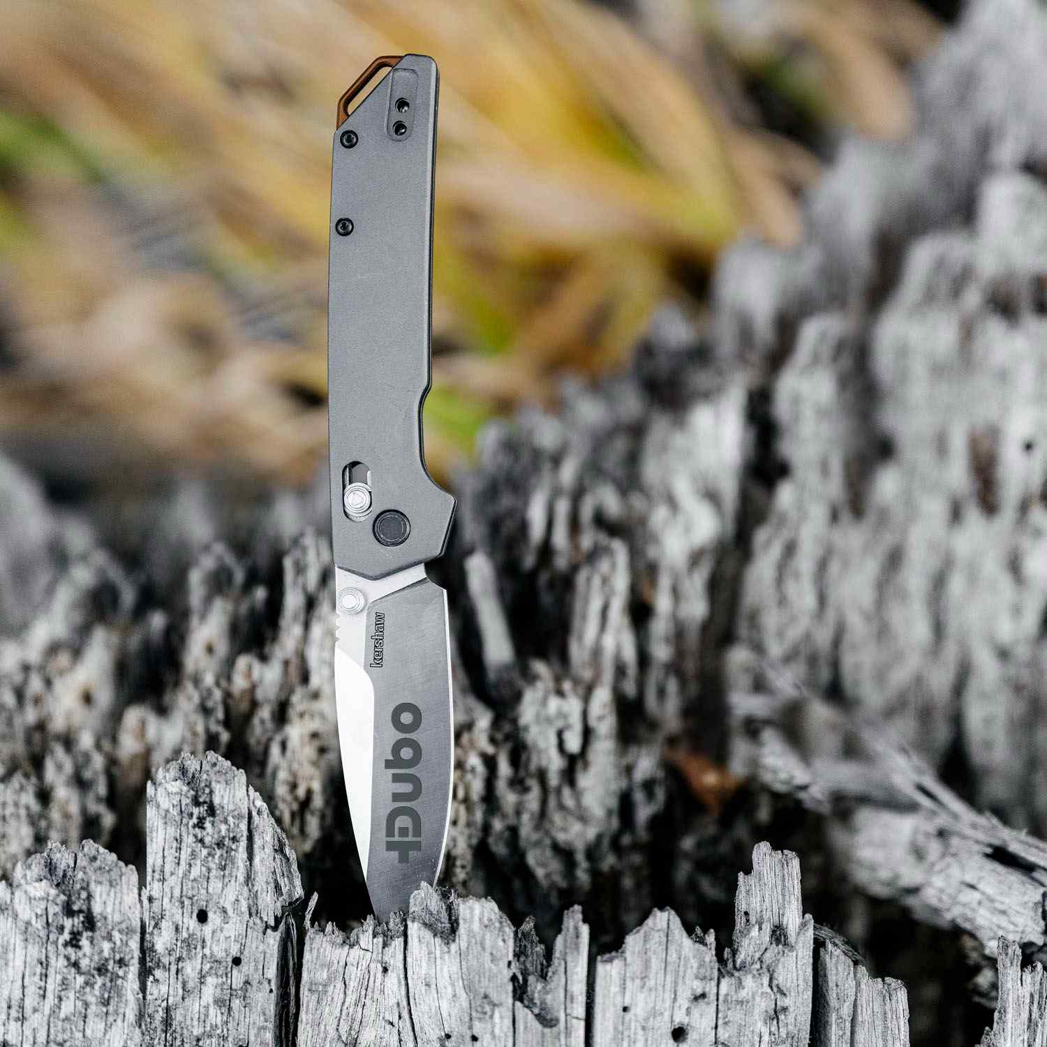 Kershaw® Iridium 2