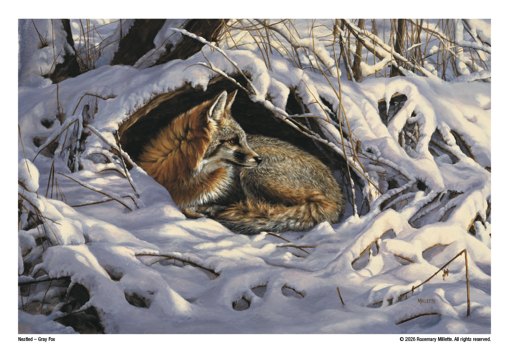 Triumph® Calendars Wildlife Art Calendar 2