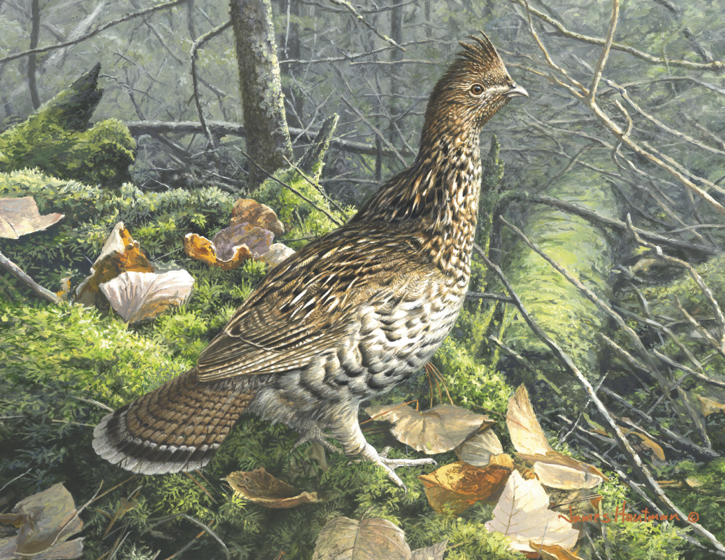 Triumph® Calendars Wildlife Art by the Hautman Brothers Calendar 4