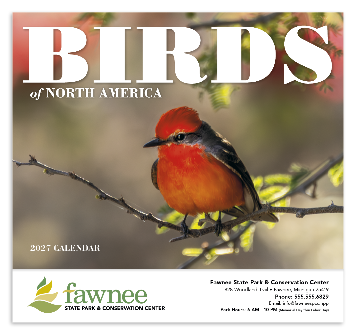 Good Value™ Birds of North America - Stapled Calendar 39
