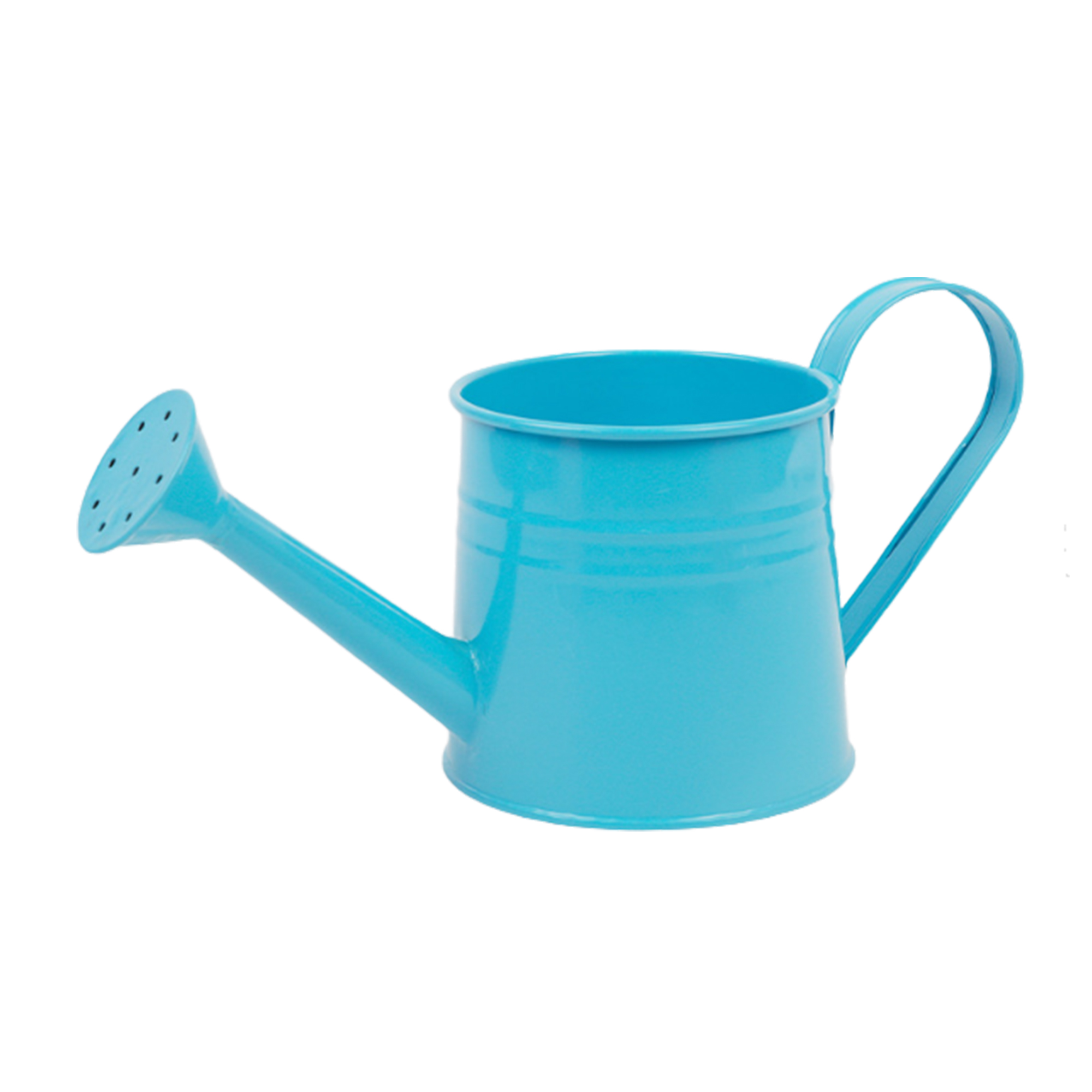 MOQ 50 PCS Sturdy Watering Can Flower Pot Ornament 4