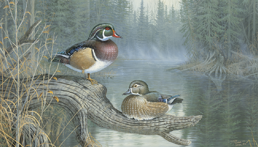 Triumph® Calendars North American Waterfowl Calendar 15