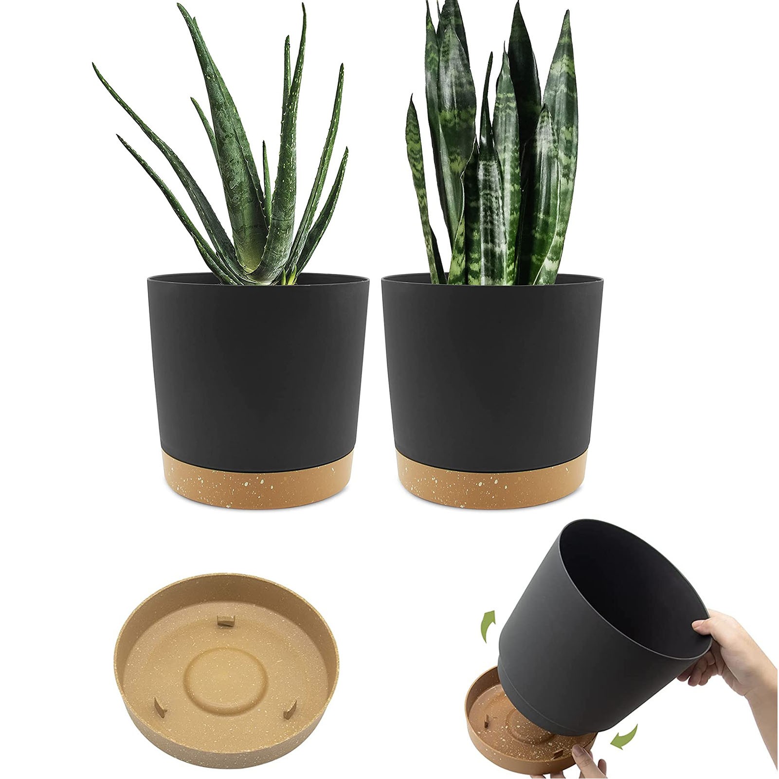 8" Planter for Indoor Plants with Drainage Holes and Removable Base 2