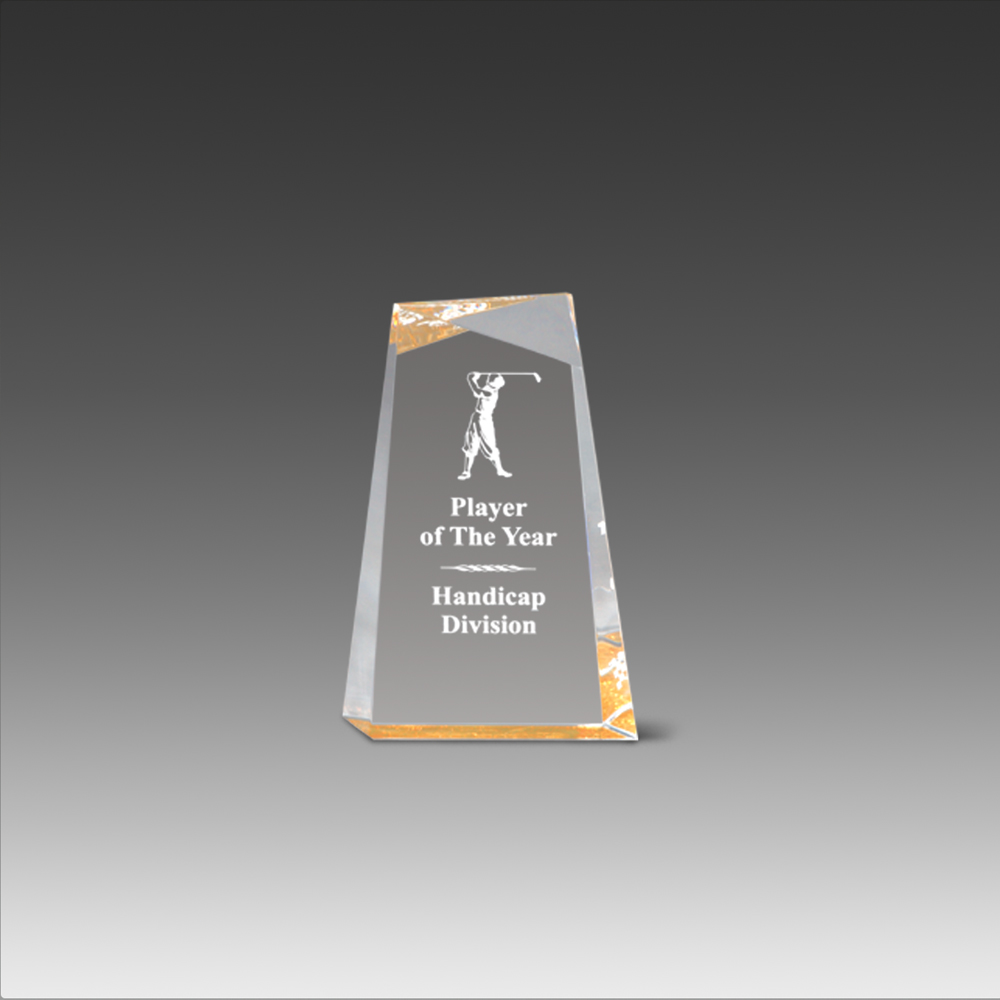 Wedge Facet Award (5"x8"x1") 1