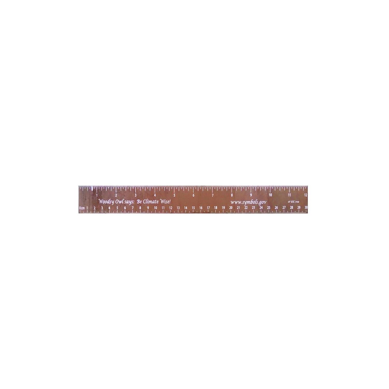 12" WOOD RULER 9