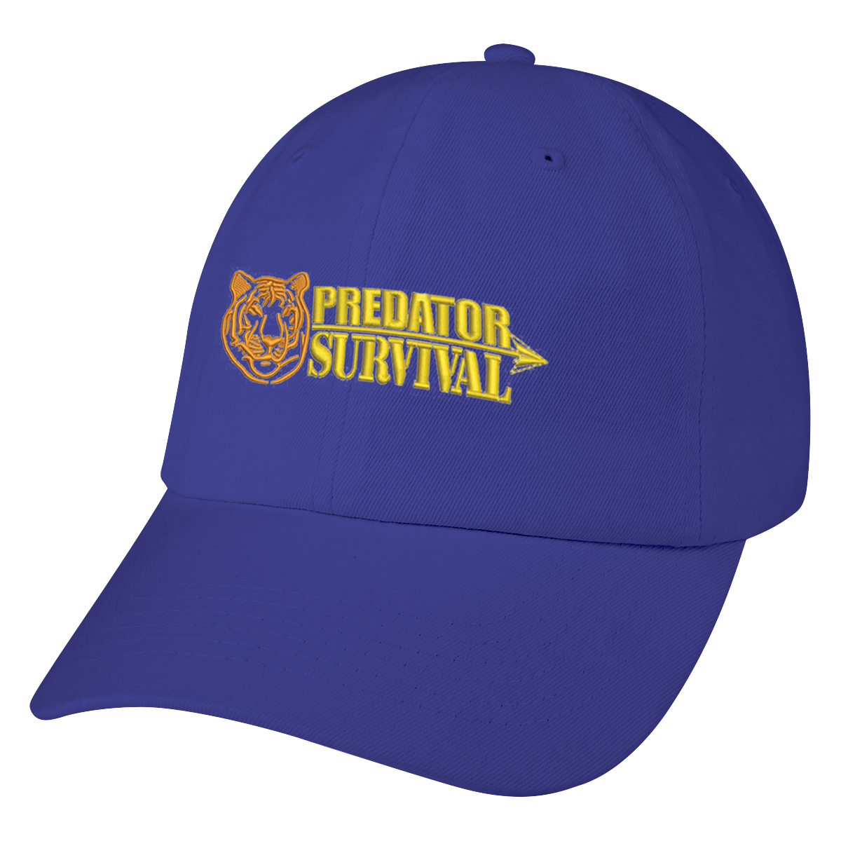Washed Cotton Cap 29