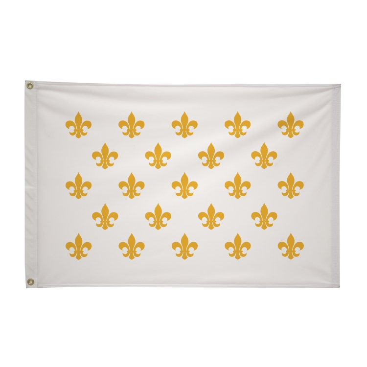 2' x 3' Historical Flags 4