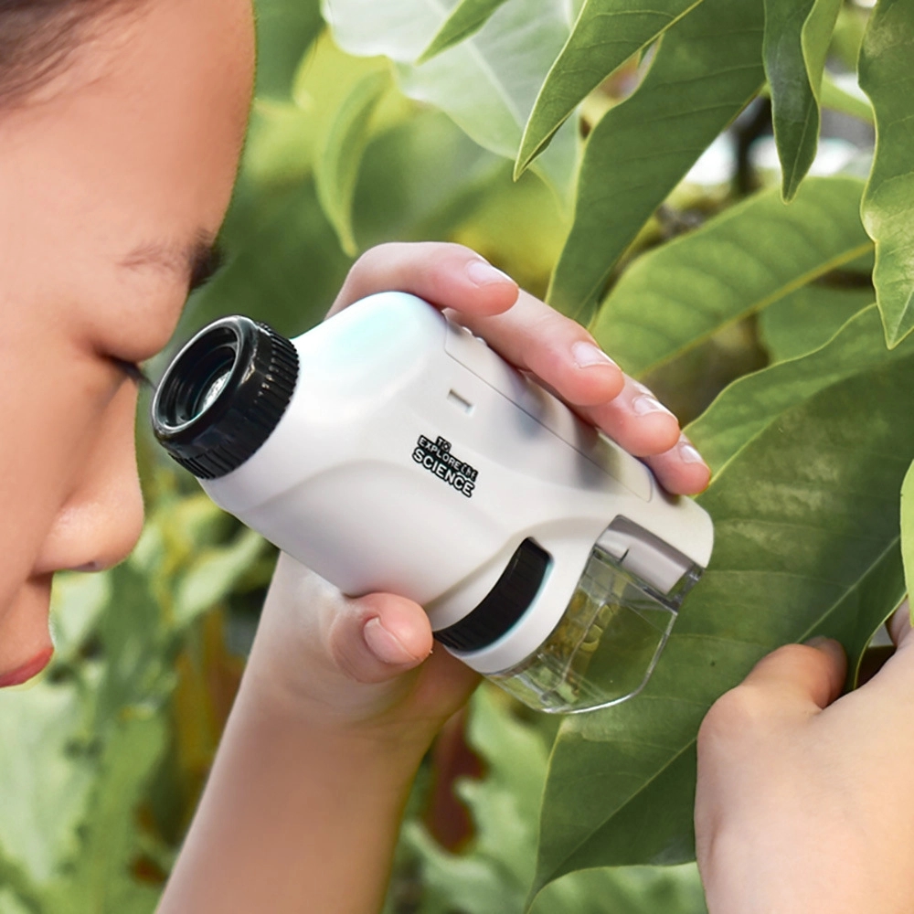Children's Microscope 2