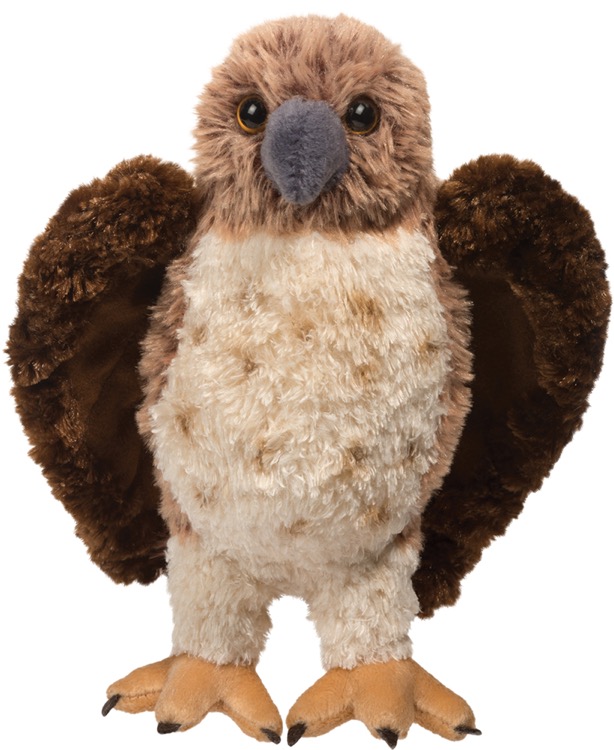 Orion Red-Tailed Hawk 2
