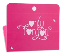 Plastic Card Carrier 5