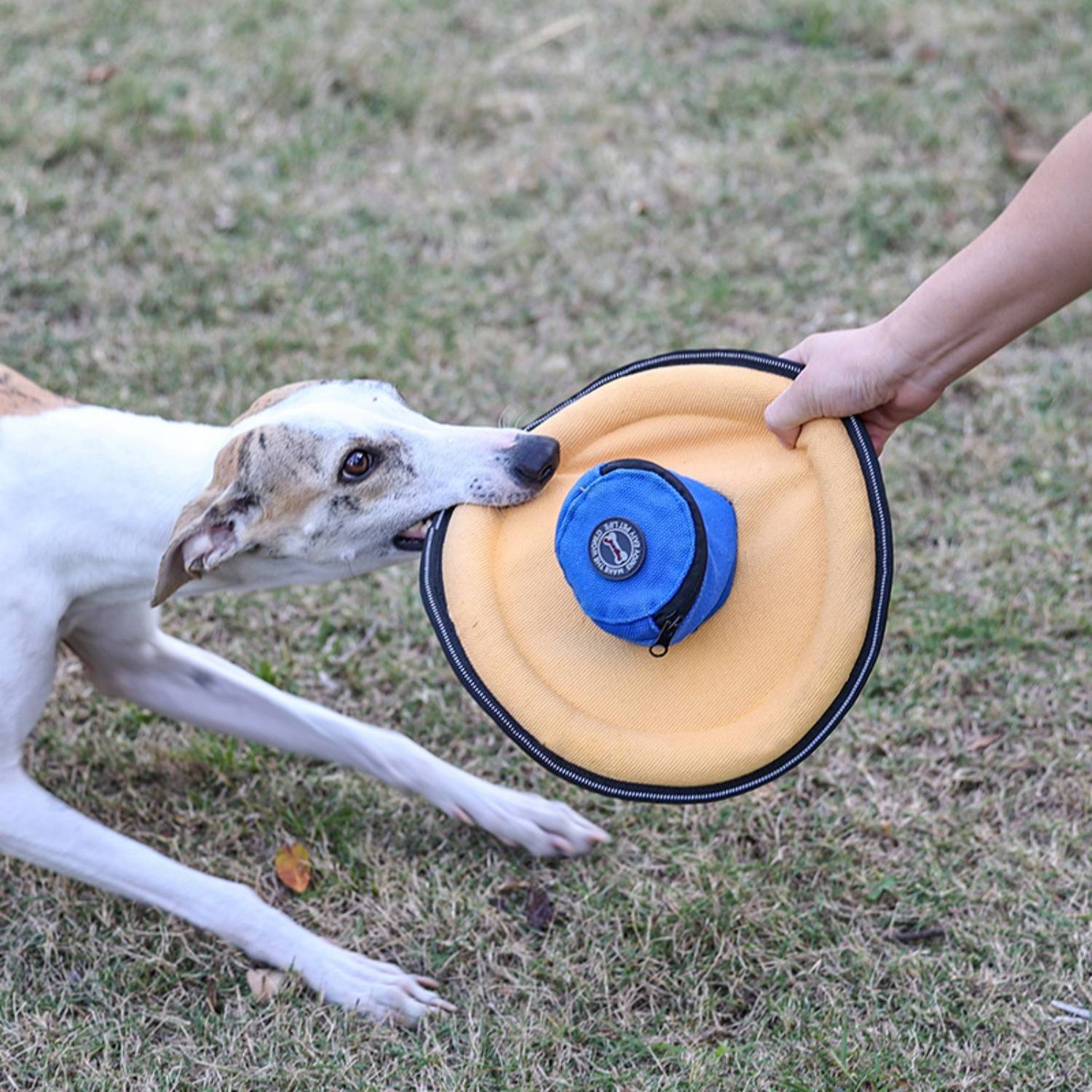 Dog Flying Disc Training Toy w/ Treat Bag 8