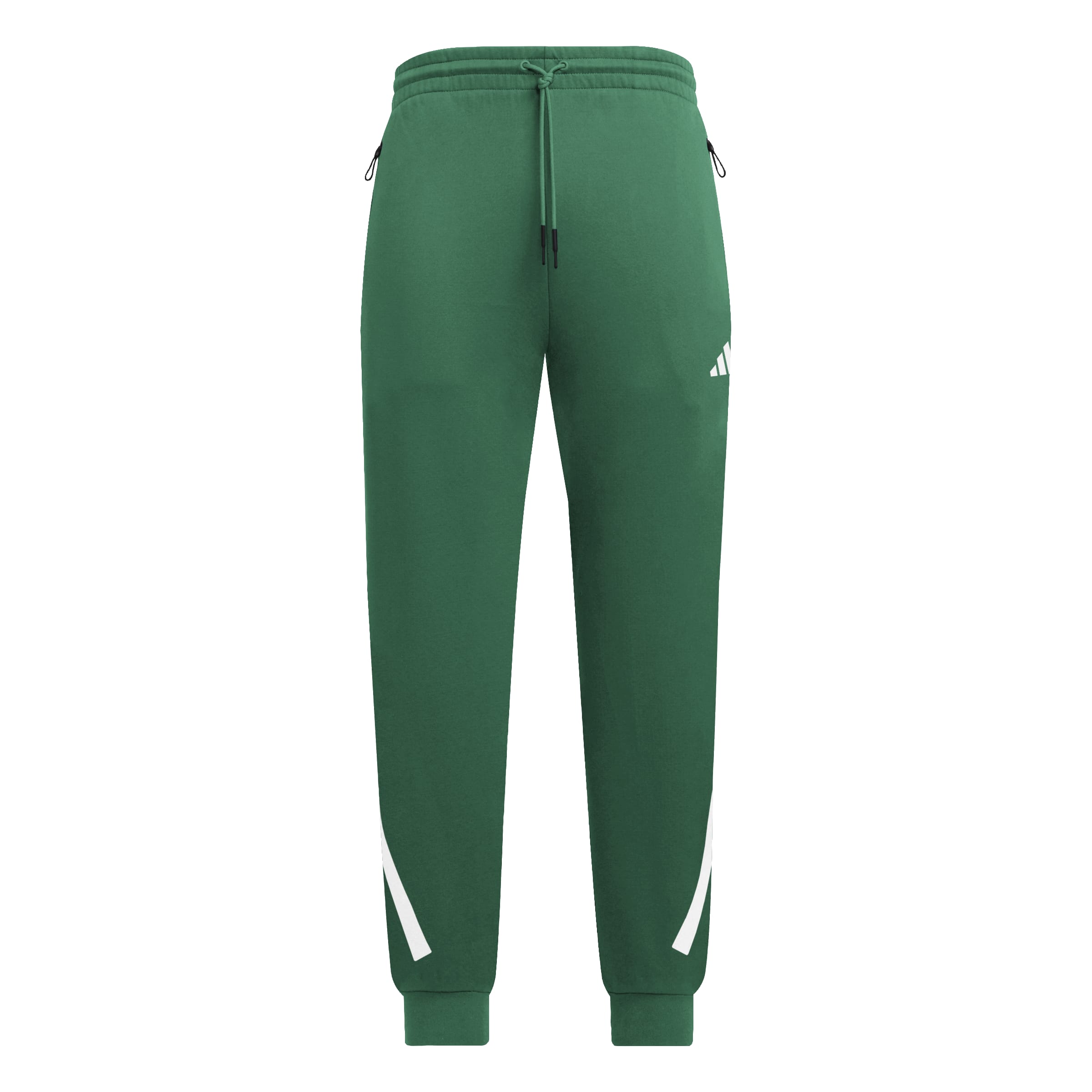 NEW Z.N.E. PANTS 36