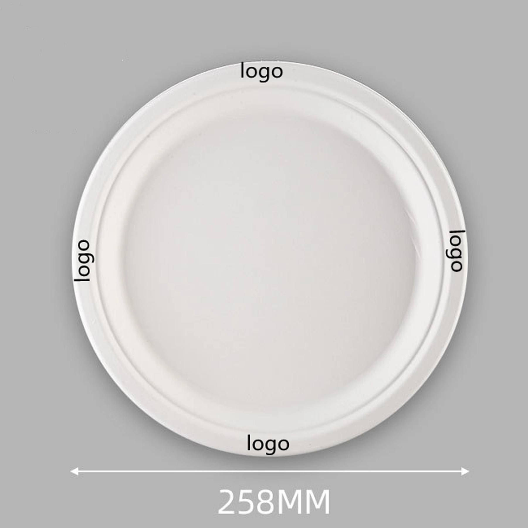 10" Disposable Paper Plates Eco-Friendly 1