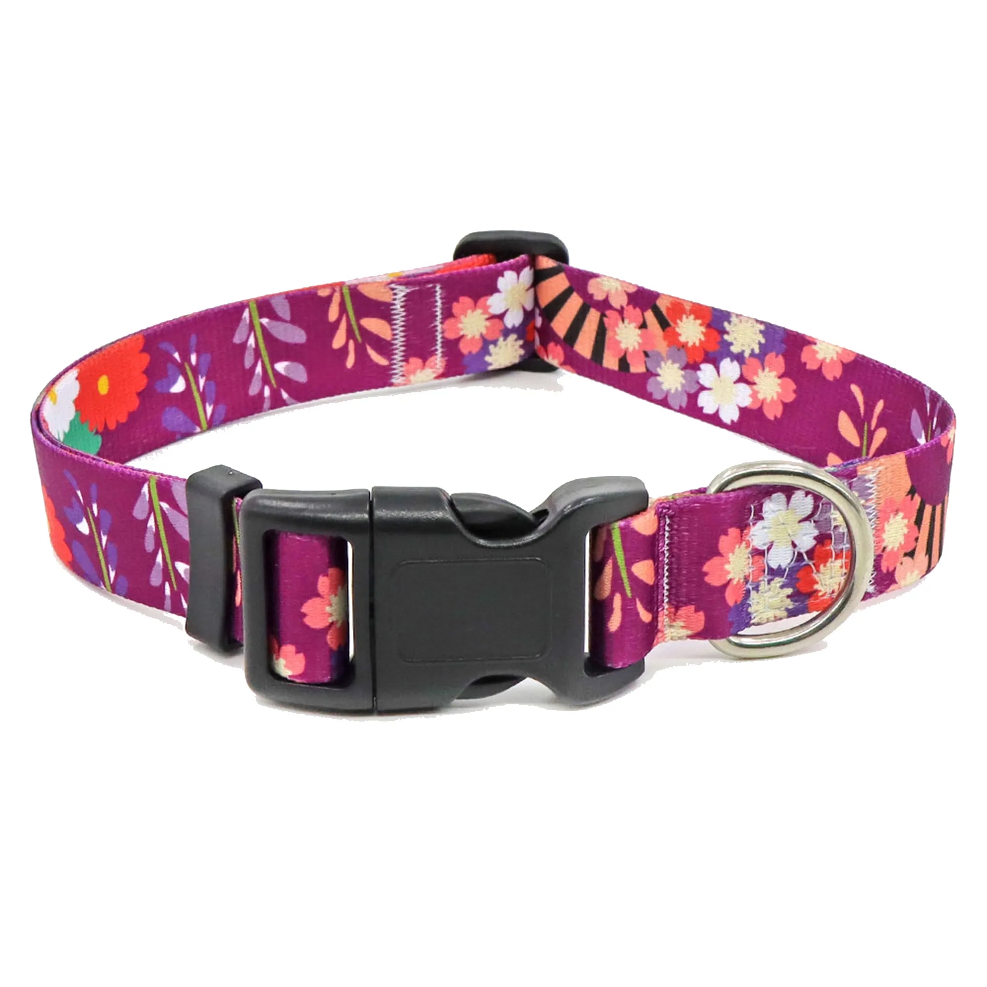Colorful Pet Collars 10